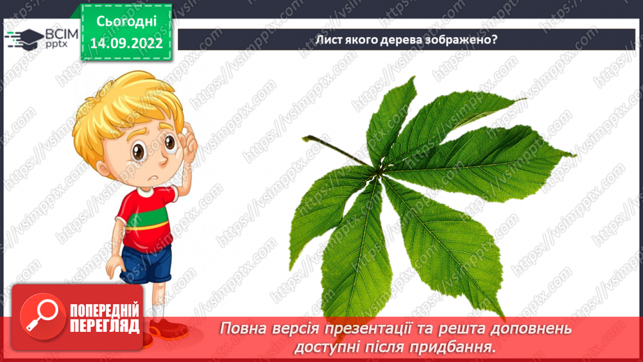 №05 - «Ловись, рибко...». Робота з природними матеріала¬ми. Підготовка природних матеріалів до роботи. Створення аплікації з листя.5