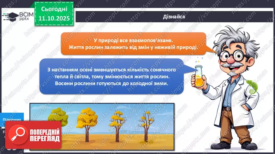 №024 - Рослини восени.7 №024 - Рослини восени.7