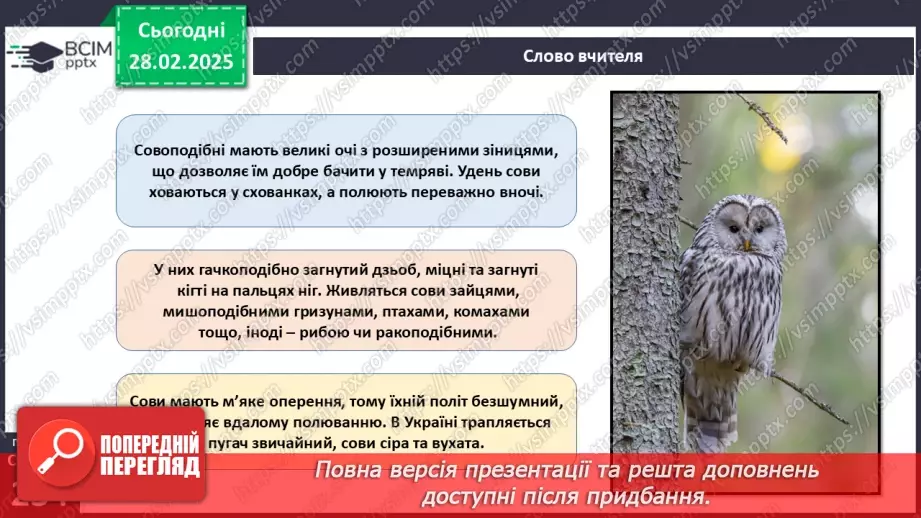 №65 - Різноманітність птахів.16
