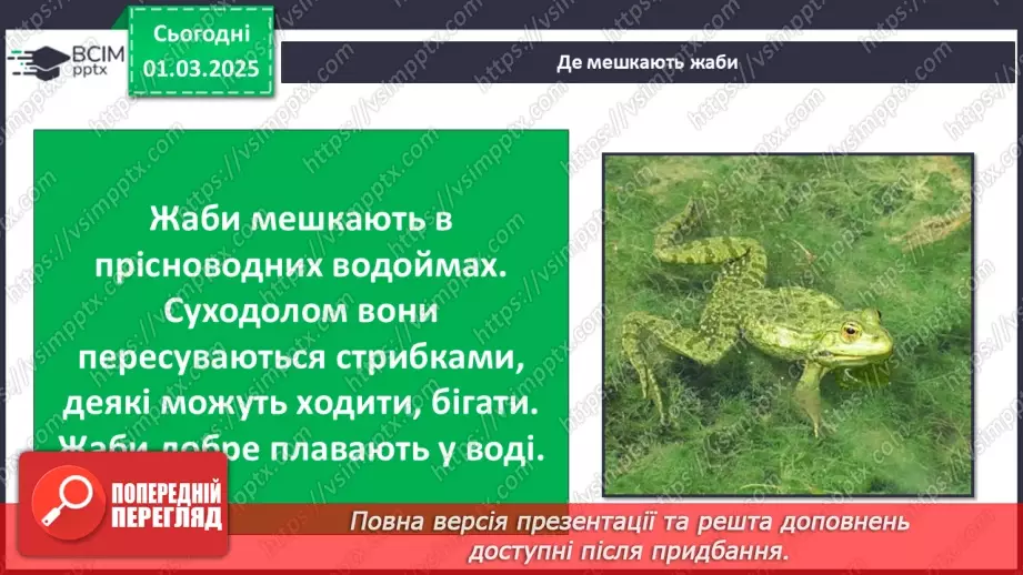 №0073 - Як змінюється життя у водоймах навесні19 №0073 - Як змінюється життя у водоймах навесні19