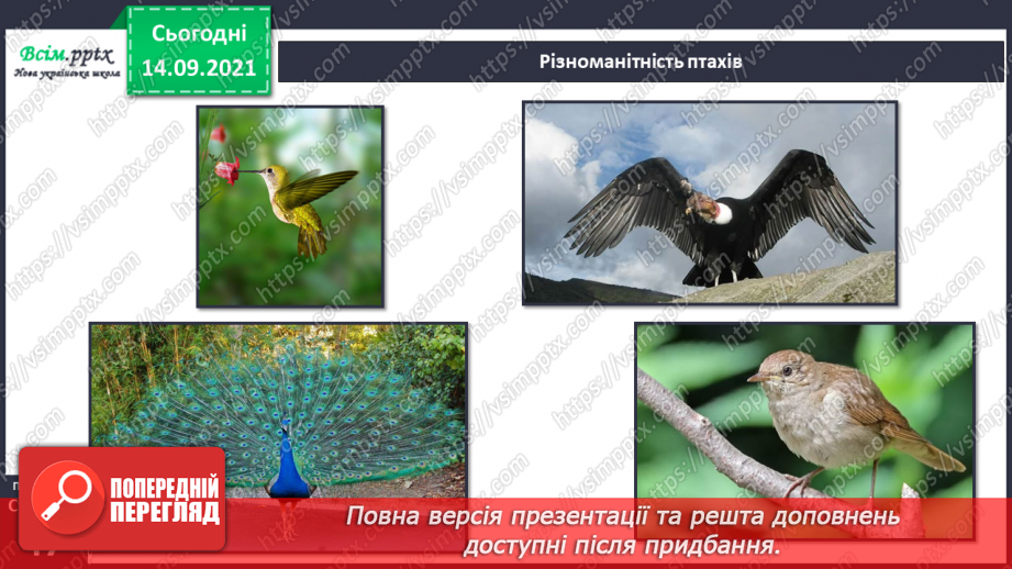 №029 - Ми всі різні: звичаї і традиції7 №029 - Ми всі різні: звичаї і традиції7
