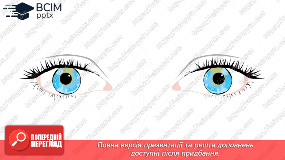 №007 - Як упізнати осінь? Створюємо «Книжку Осені»9