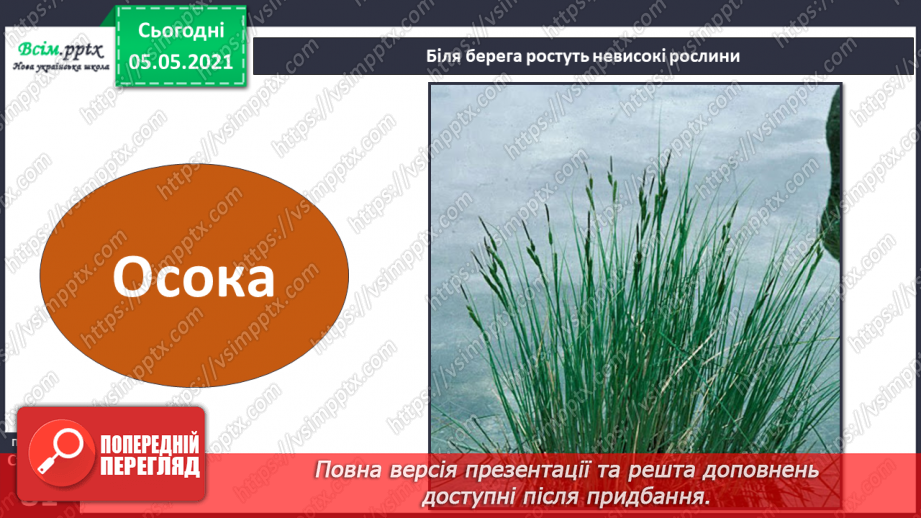 №052 - Природне угруповання — прісна водойма.10