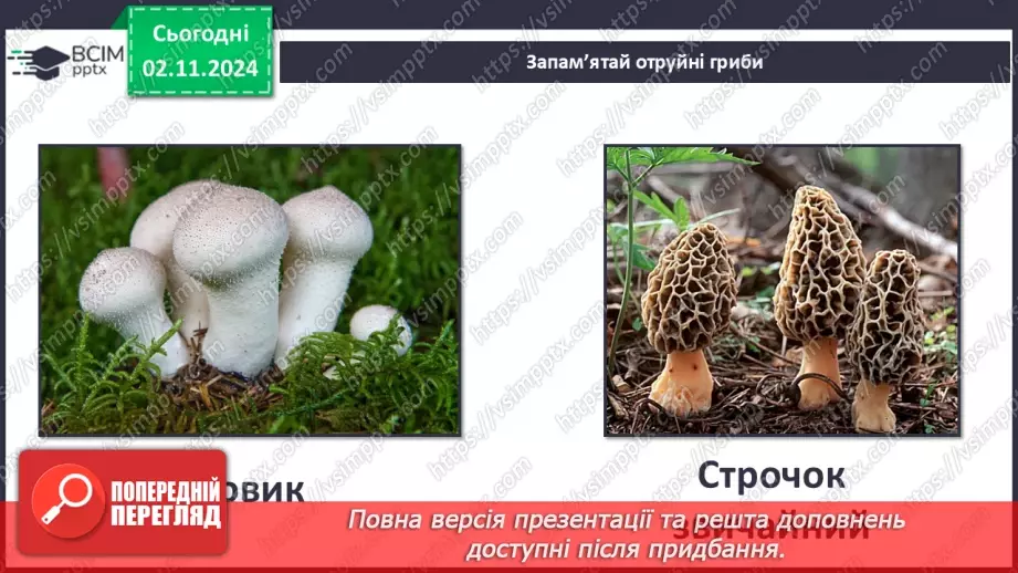 №0033 - Чи всі гриби їстівні15 №0033 - Чи всі гриби їстівні15