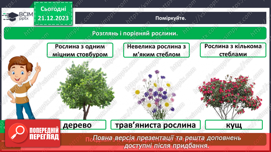 №051 - Які бувають рослини16 №051 - Які бувають рослини16