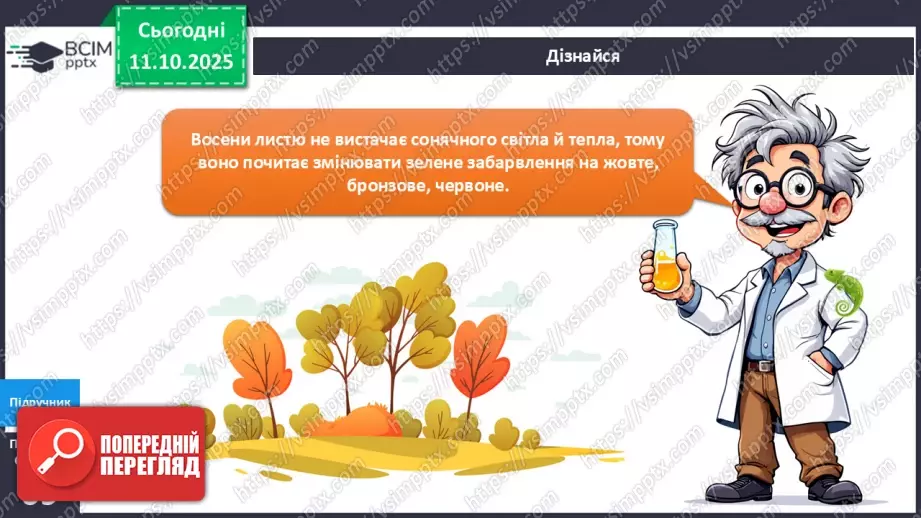 №024 - Рослини восени.9 №024 - Рослини восени.9