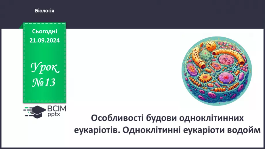 №13 - Особливості будови одноклітинних еукаріотів.0 №13 - Особливості будови одноклітинних еукаріотів.0
