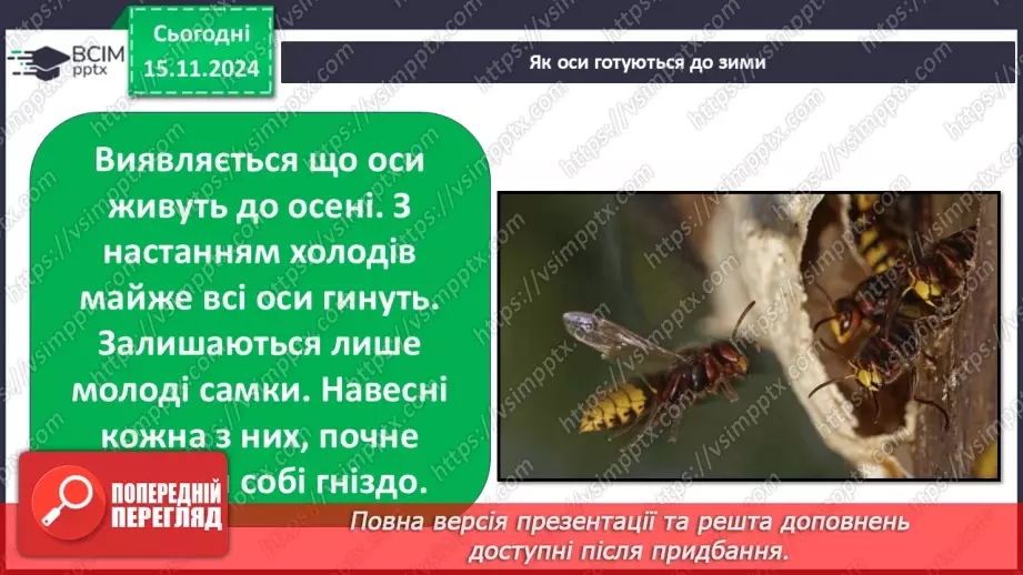 №0034 - Як осінні зміни впливають на комах15 №0034 - Як осінні зміни впливають на комах15