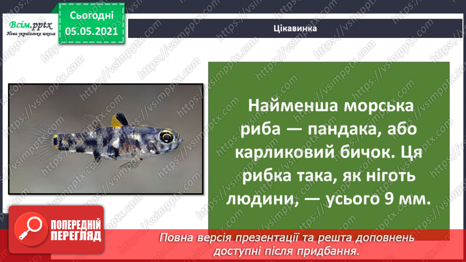 №041 - Риби.14