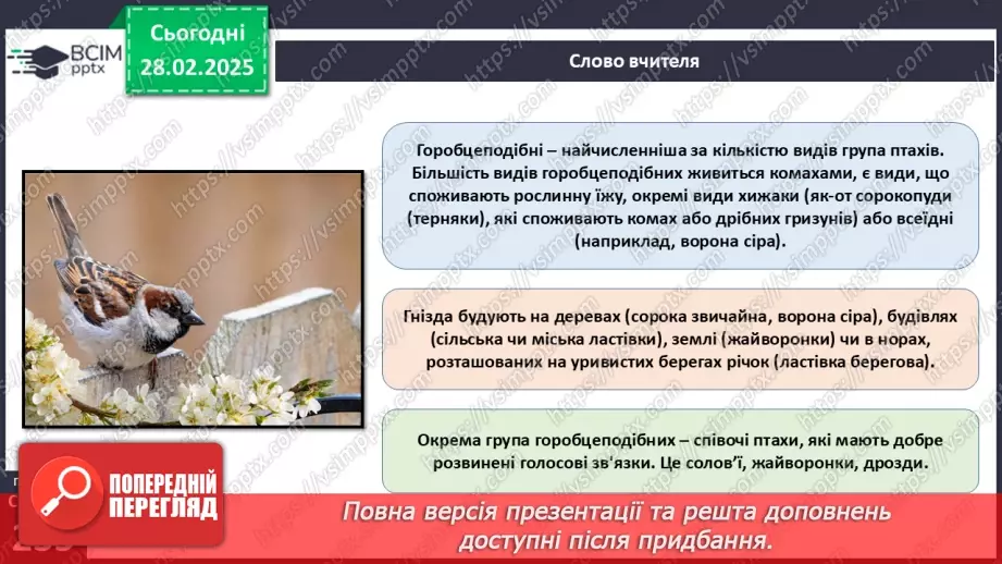 №65 - Різноманітність птахів.20
