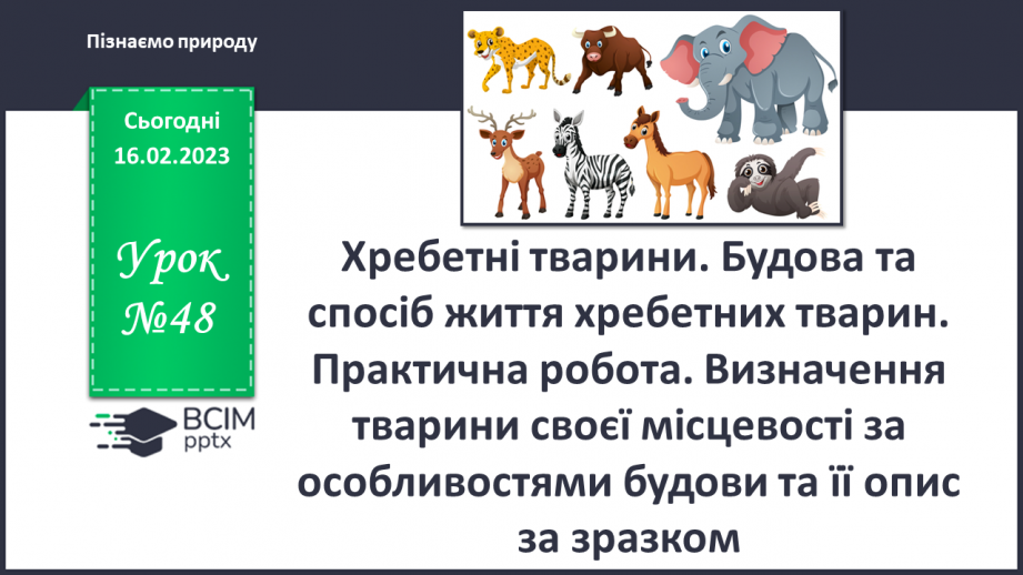 №48 - Хребетні тварини. Будова та спосіб життя хребетних тварин. Практична робота.0