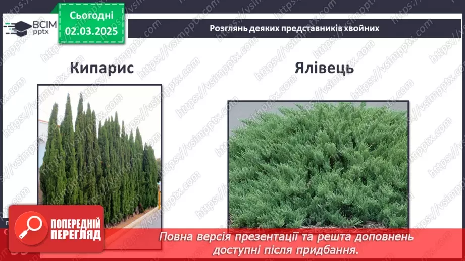 №074 - Різноманітність рослин. ст.59-6111