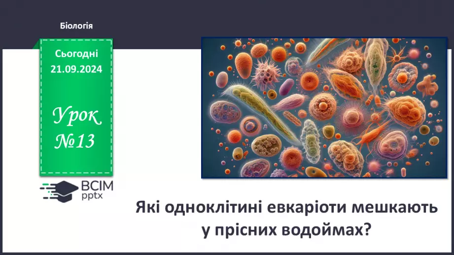 №13 - Які одноклітині евкаріоти мешкають у прісних водоймах?0