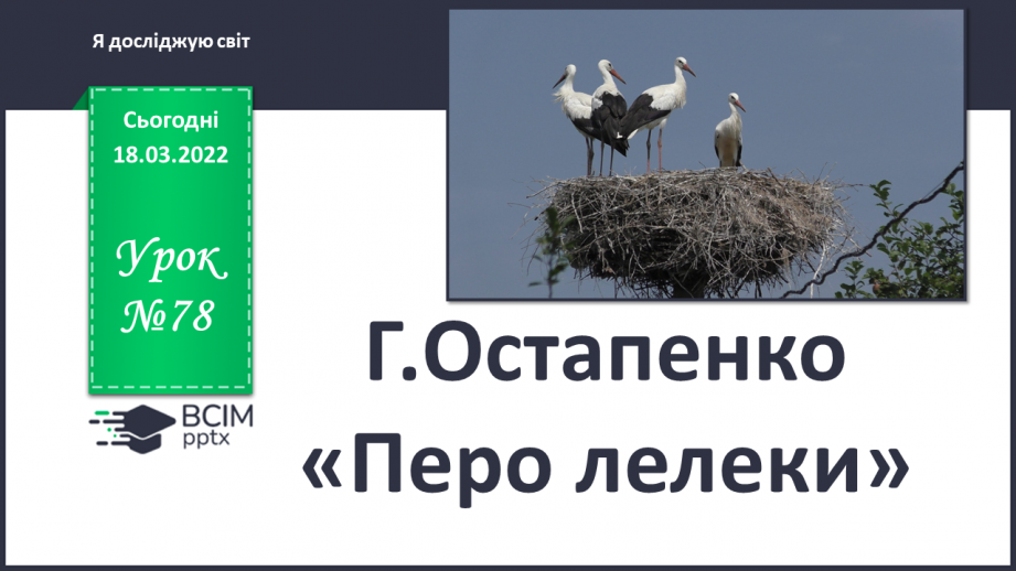 №078 - Г. Остапенко «Перо лелеки»0 №078 - Г. Остапенко «Перо лелеки»0