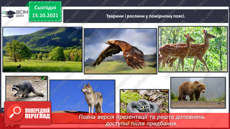 №026-28 - Рух Землі навколо Сонця. Теплові пояси20 №026-28 - Рух Землі навколо Сонця. Теплові пояси20