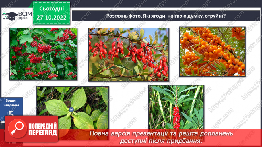 №033 - Будова рослин. Лікарські та отруйні рослини.30 №033 - Будова рослин. Лікарські та отруйні рослини.30