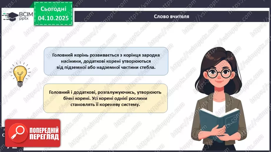 №021 - Покритонасінні рослини: тканини та будова кореня15 №021 - Покритонасінні рослини: тканини та будова кореня15