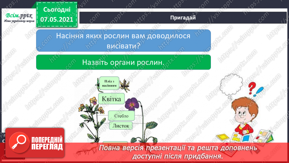 №039 - Як виростити нову рослину без насіння4 №039 - Як виростити нову рослину без насіння4