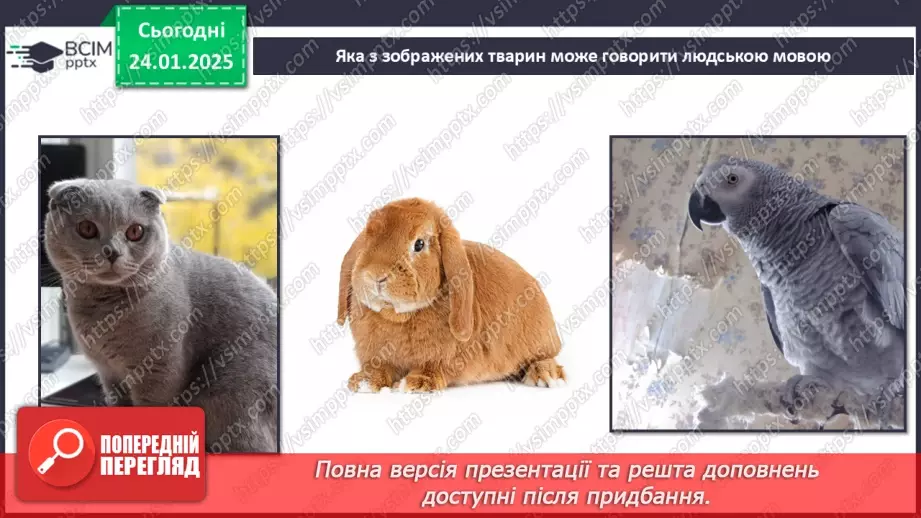 №0059 - Яка користь від знань12 №0059 - Яка користь від знань12