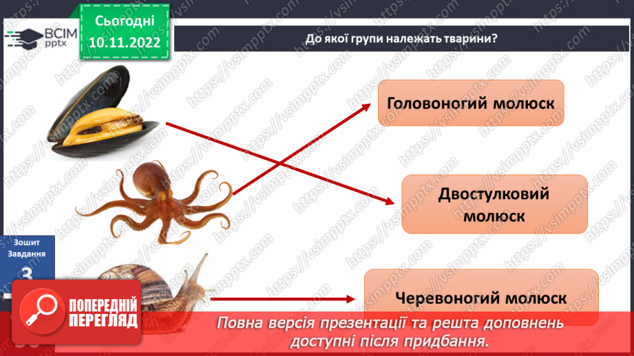 №039 - Членистоногі та молюски. Черви, жалкі, голкошкірі та губки.30