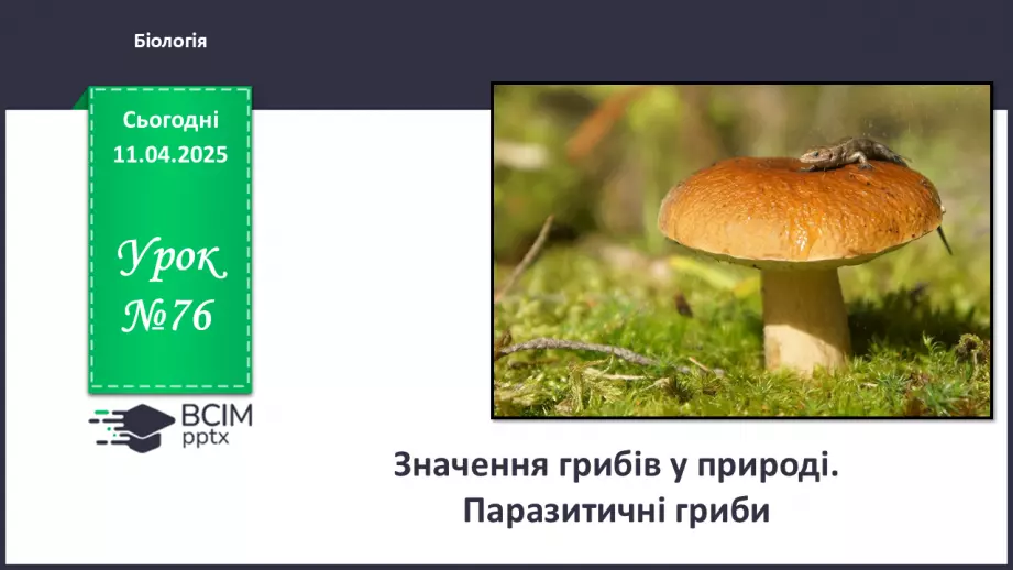 №76 - Значення грибів у природі. Паразитичні гриби.0 №76 - Значення грибів у природі. Паразитичні гриби.0