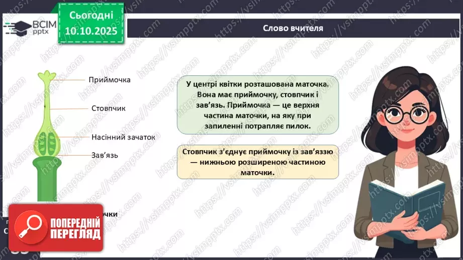 №024 - Покритонасінні рослини: квітка та плід. Значення в екосистемах.18 №024 - Покритонасінні рослини: квітка та плід. Значення в екосистемах.18