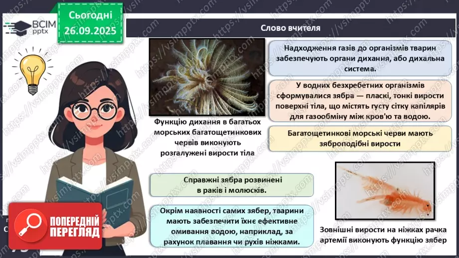 №018 - Дихання як властивість живого. Органи дихання в безхребетних тварин. Еволюція дихальної системи хордових.15 №018 - Дихання як властивість живого. Органи дихання в безхребетних тварин. Еволюція дихальної системи хордових.15