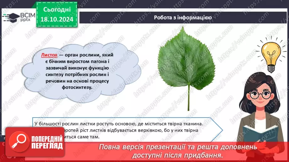 №25 - Вегетативні органи вищих рослин.14 №25 - Вегетативні органи вищих рослин.14