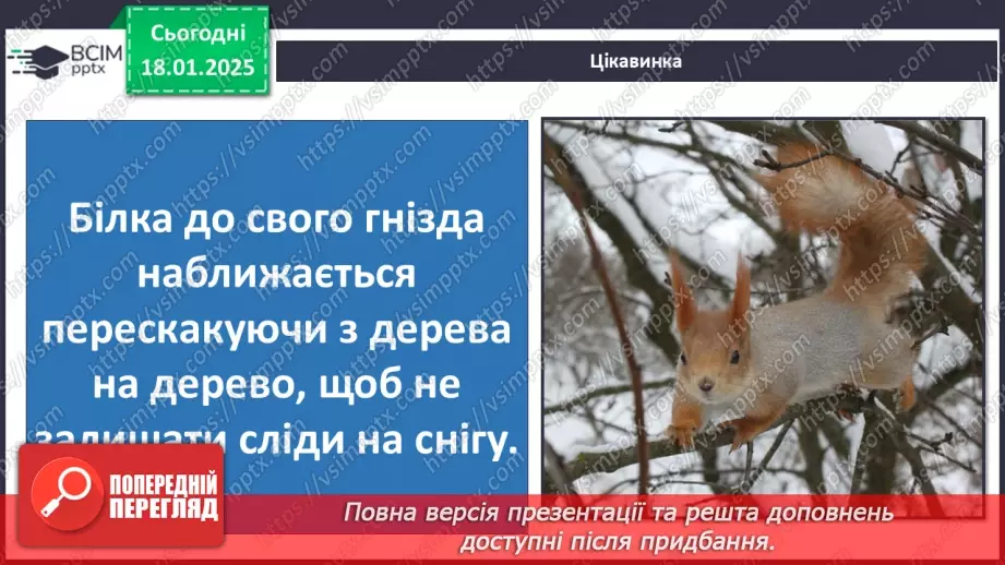 №0056 - Як зимують птахи та звірі10 №0056 - Як зимують птахи та звірі10