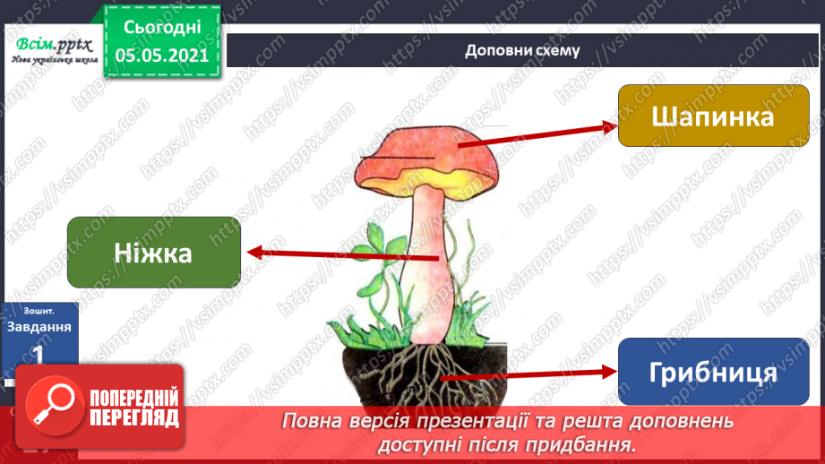 №037 - Значення грибів.23 №037 - Значення грибів.23