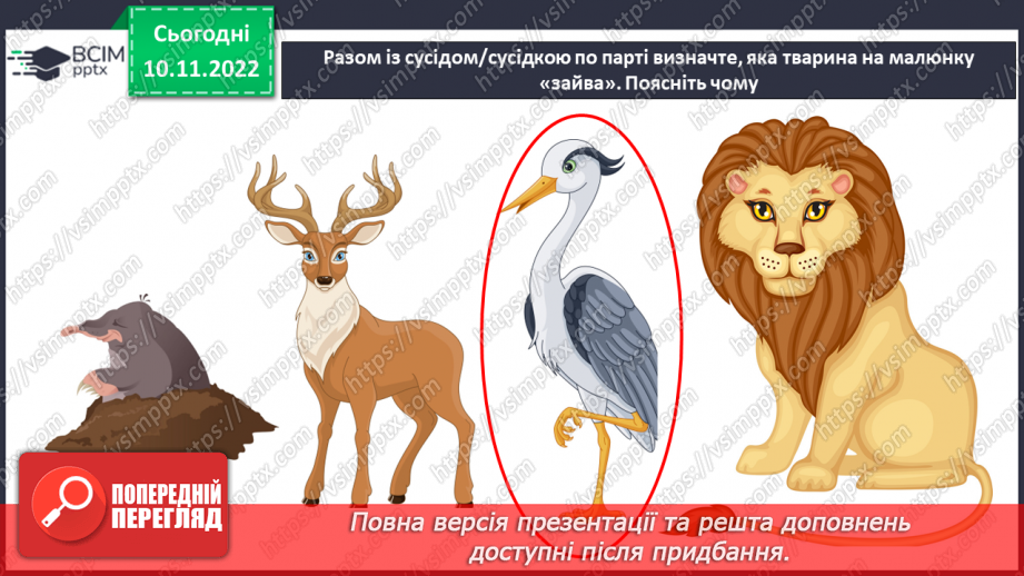№037 - Як класифікують тварин. Властивості ссавців і птахів.33 №037 - Як класифікують тварин. Властивості ссавців і птахів.33