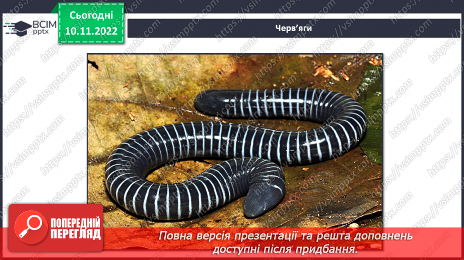 №038 - Риби, земноводні та плазуни.16 №038 - Риби, земноводні та плазуни.16