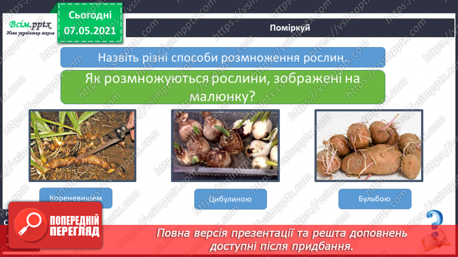 №039 - Як виростити нову рослину без насіння10 №039 - Як виростити нову рослину без насіння10