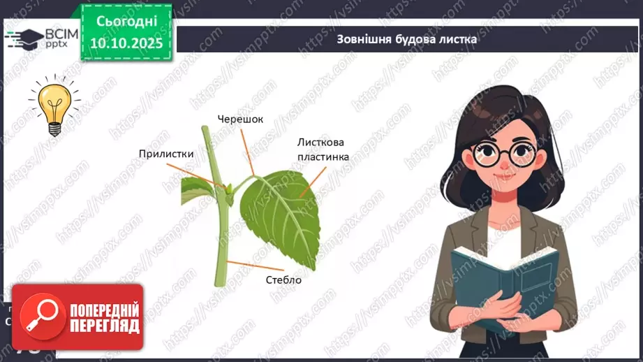 №023 - Покритонасінні рослини: будова бруньки, пагона й листка (продовження).13 №023 - Покритонасінні рослини: будова бруньки, пагона й листка (продовження).13