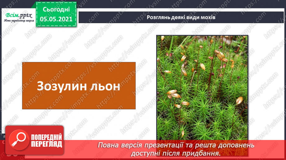 №033 - Мохи.22 №033 - Мохи.22