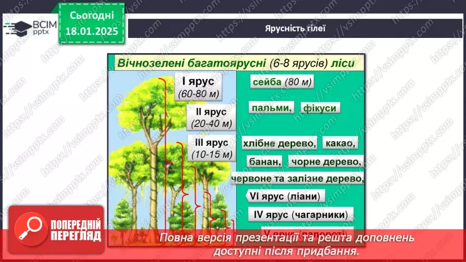№37 - У чому особливість природних зон Південної Америки.8