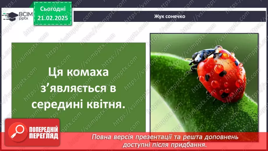 №0072 - Які комахи з’являються першими навесні17