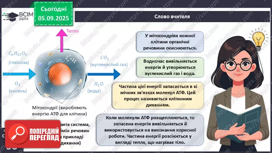 №009 - Обмін речовин та перетворення енергії як властивості живого. Особливості обміну речовин у тварин і людини.11 №009 - Обмін речовин та перетворення енергії як властивості живого. Особливості обміну речовин у тварин і людини.11
