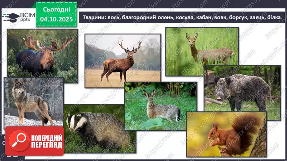 №0020 - Природні зони Землі.18 №0020 - Природні зони Землі.18