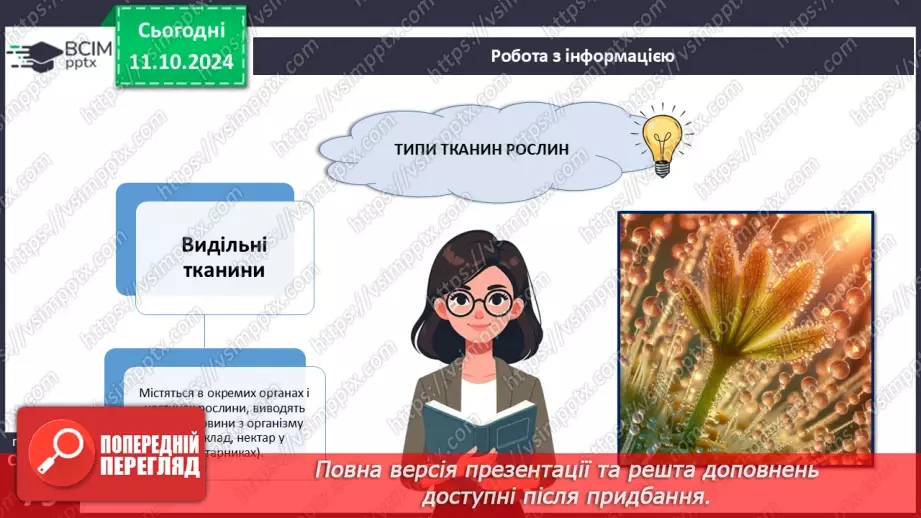 №23 - Тканини і органи рослин.15 №23 - Тканини і органи рослин.15