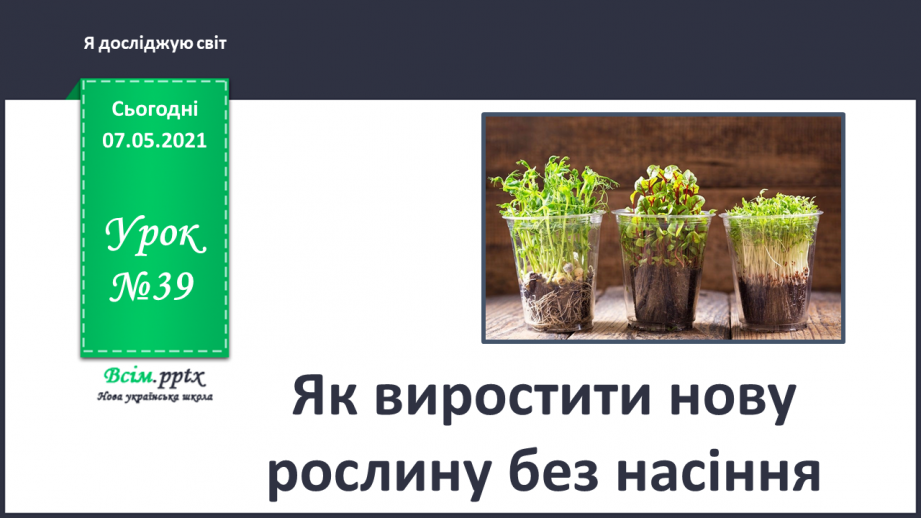 №039 - Як виростити нову рослину без насіння0 №039 - Як виростити нову рослину без насіння0