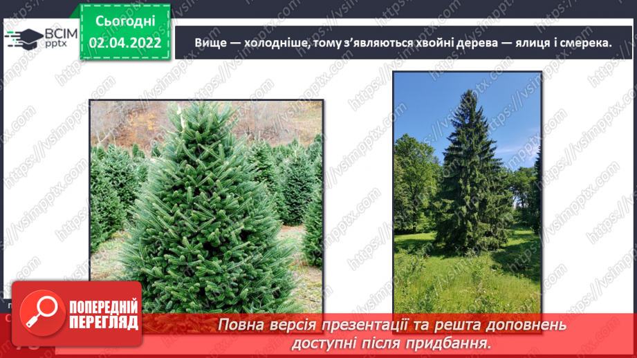 №082 - Українські Карпати7 №082 - Українські Карпати7