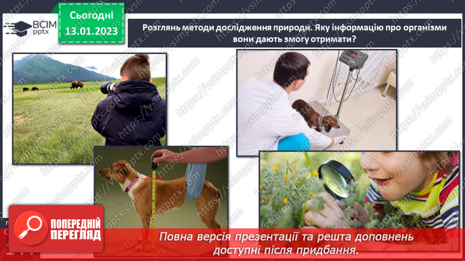 №38 - Організми та їх властивості. Методи дослідження організмів. Висівання і пророщування квасолі.24