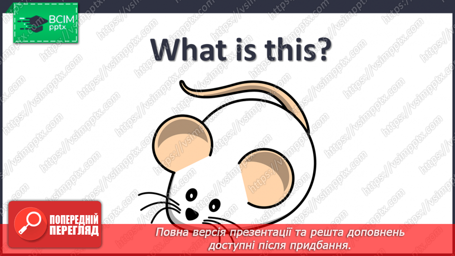 №33 - My pets20