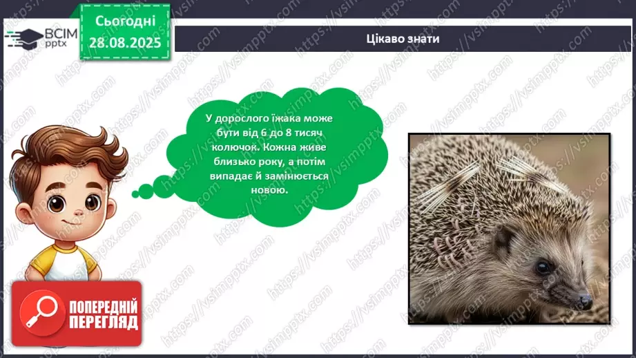 №02 - Робота із природним матеріалом. Виготовлення їжачка.11 №02 - Робота із природним матеріалом. Виготовлення їжачка.11