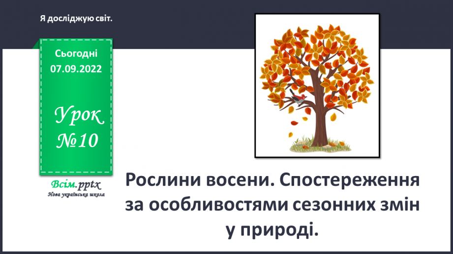 №0010 - Рослини восени. Спостереження за особливостями сезонних змін у природі.0