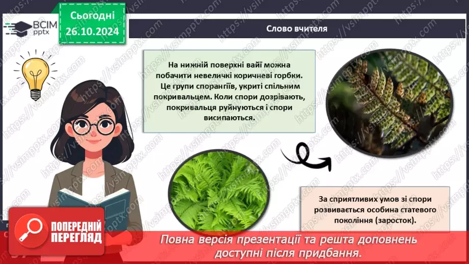 №30 - Чим цікаві Папоротеподібні?9