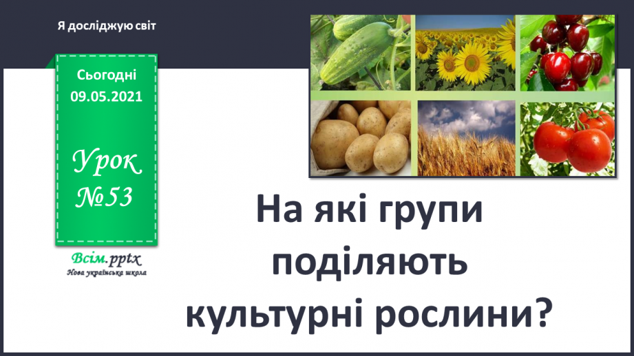 №053 - На які групи поділяють культурні рослини?0 №053 - На які групи поділяють культурні рослини?0