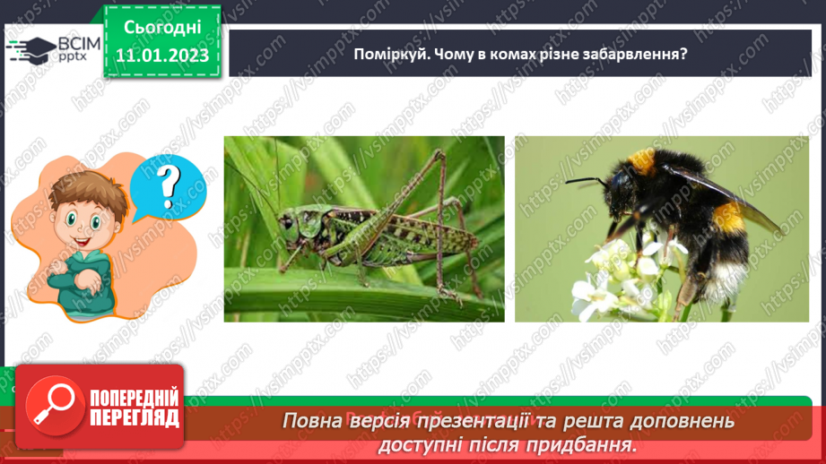 №0055 - Комахи14 №0055 - Комахи14