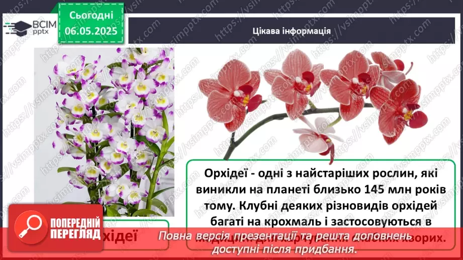 №101-102 - Догляд за кімнатними рослинами. Пересаджування квітів21
